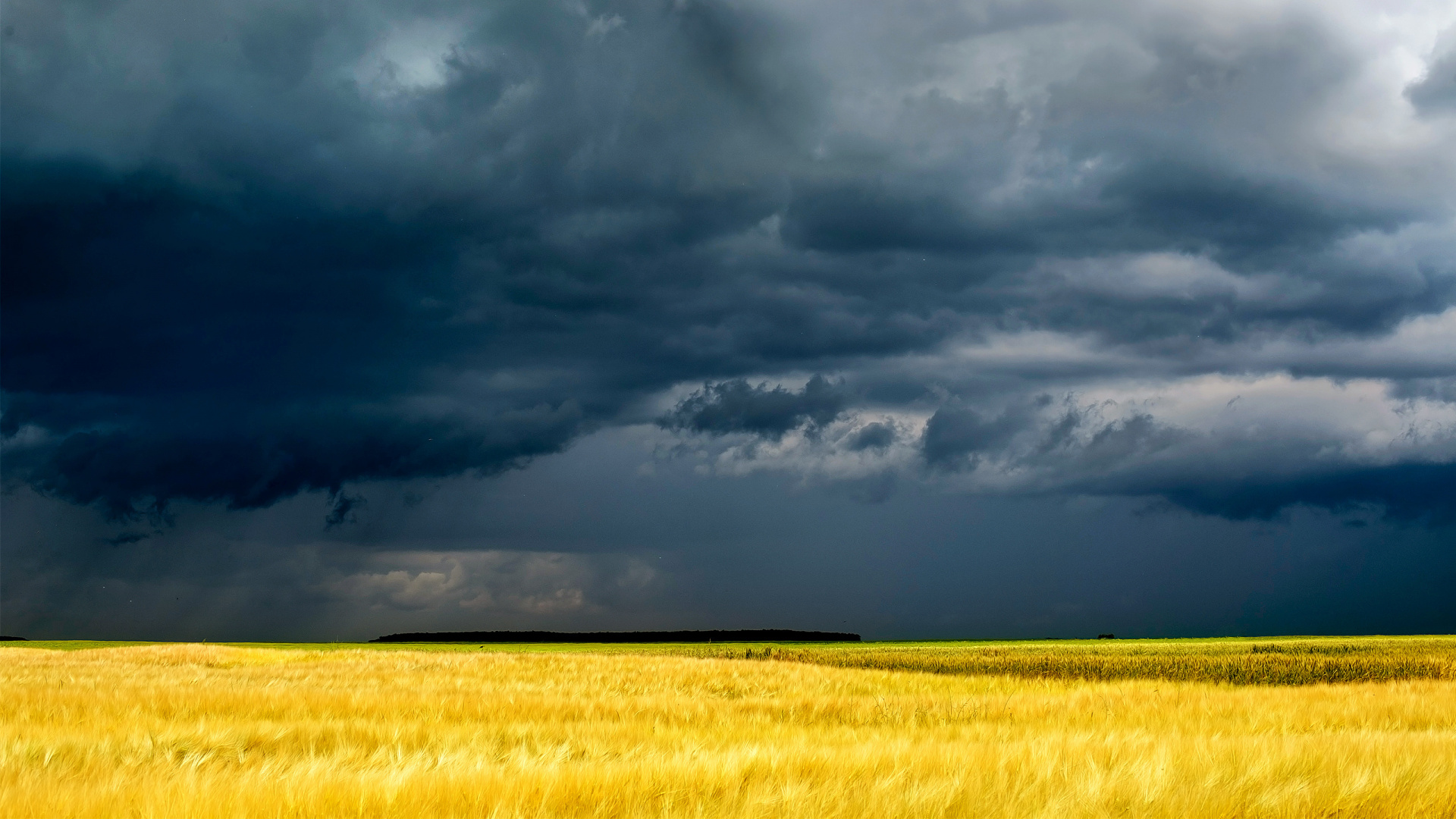 Green Grass Field Under Gray Clouds. Wallpaper in 1920x1080 Resolution