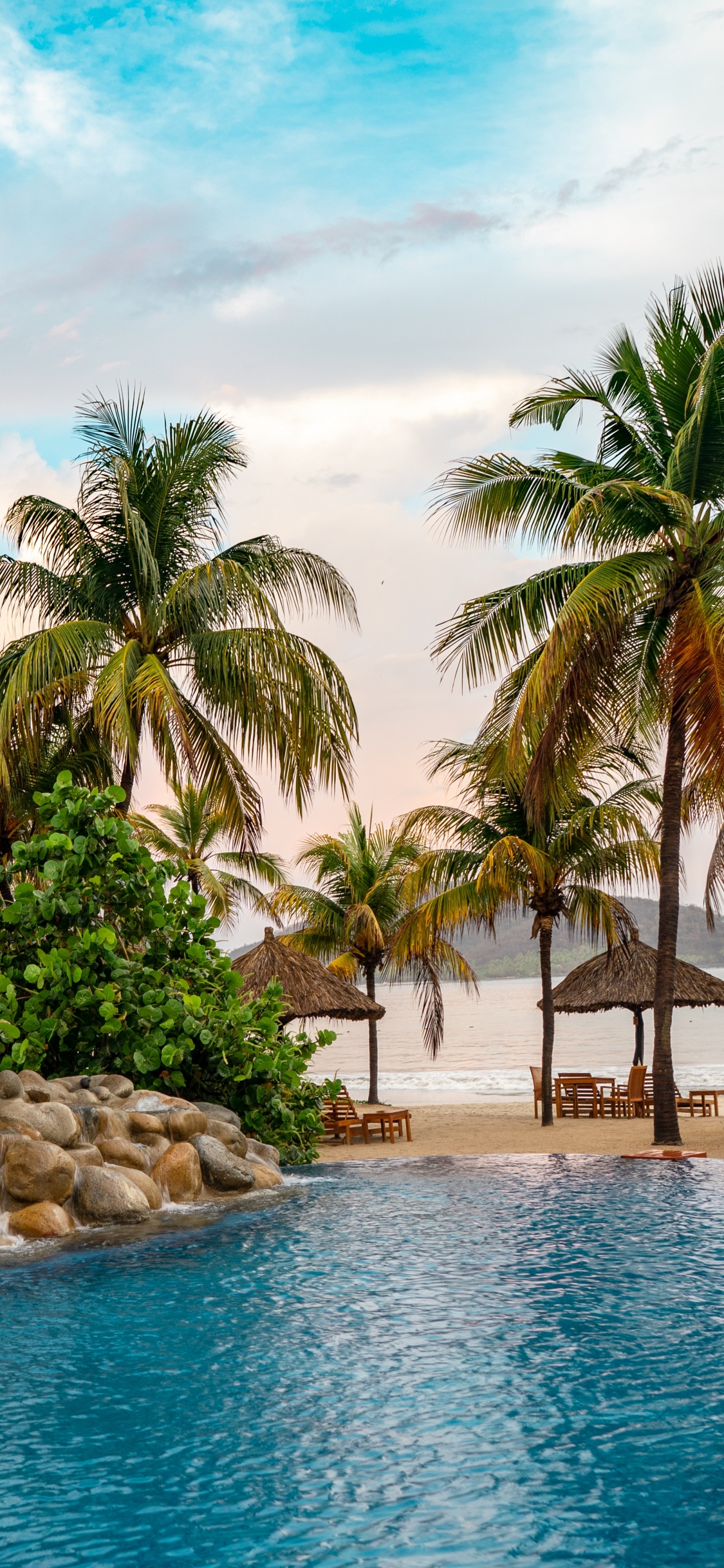 Pool, Wasser, Palms, Meer, Baum. Wallpaper in 1125x2436 Resolution