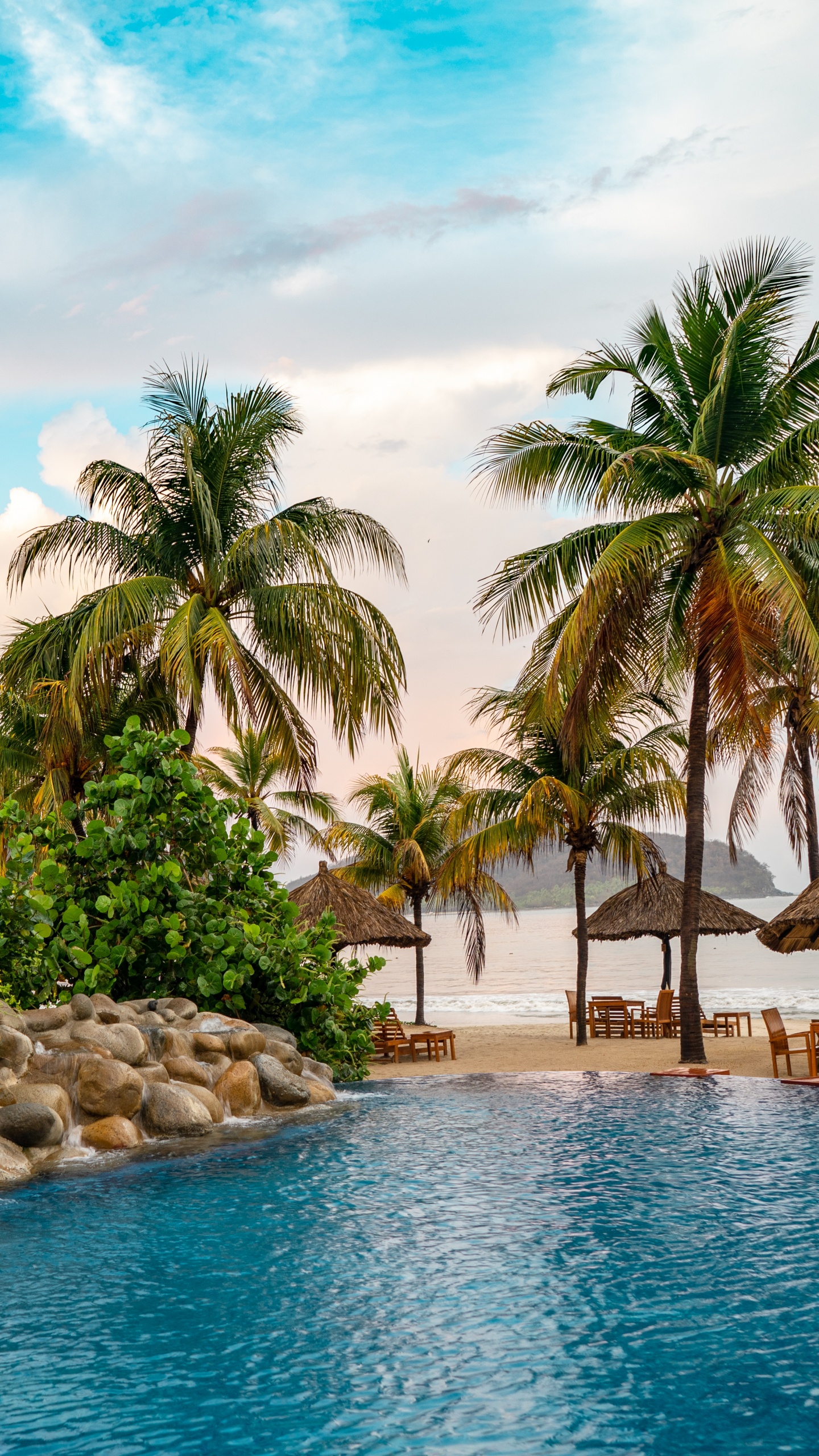 Swimming Pool, Water, Palms, Plant, Sea. Wallpaper in 1440x2560 Resolution