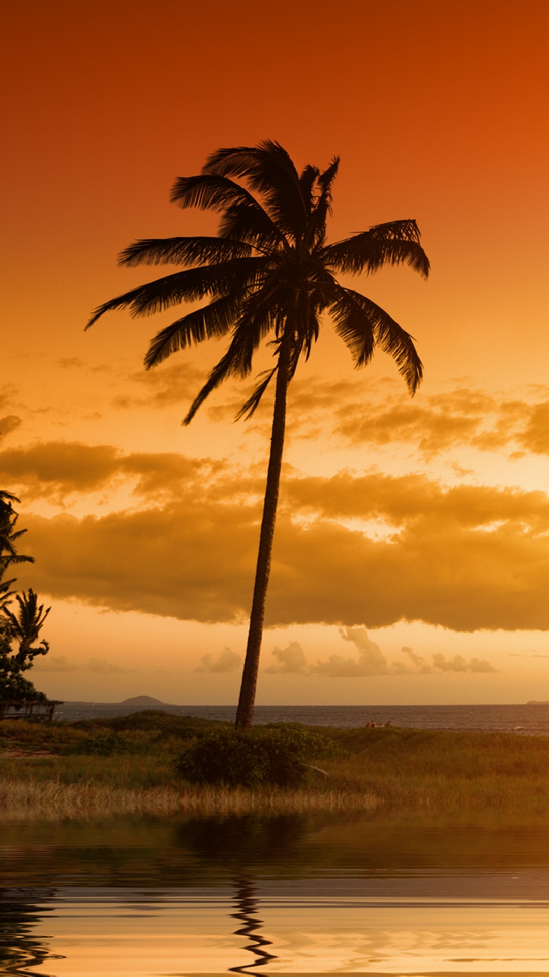 Palm Tree Near Body of Water During Sunset. Wallpaper in 1080x1920 Resolution