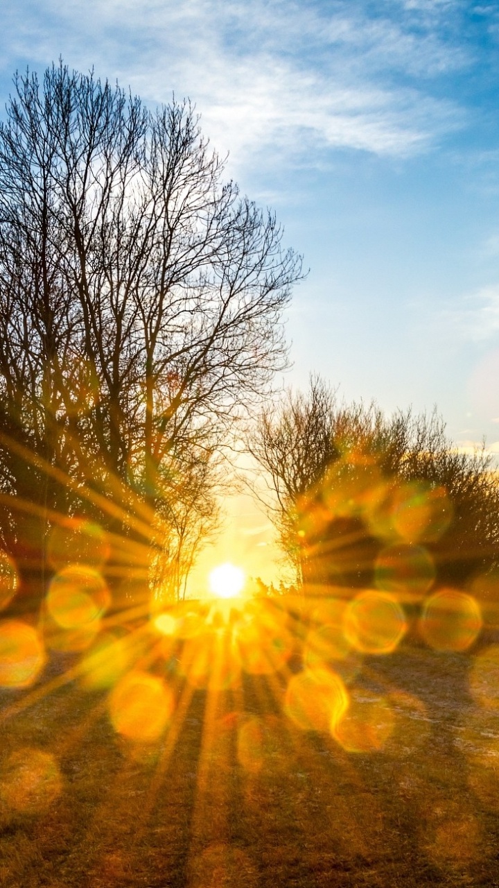 日落, 性质, 阳光, 早上, 黄色的 壁纸 720x1280 允许
