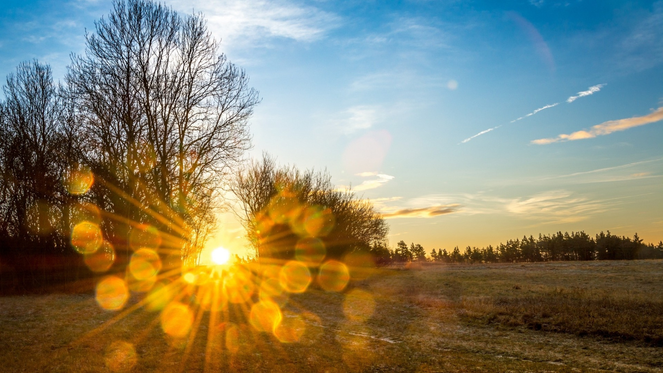 Leafless Trees Under Blue Sky During Daytime. Wallpaper in 1366x768 Resolution