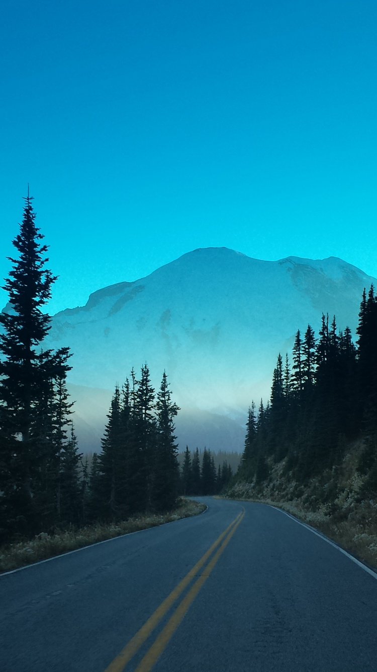 Carretera de Asfalto Gris Entre Árboles Verdes Durante el Día. Wallpaper in 750x1334 Resolution