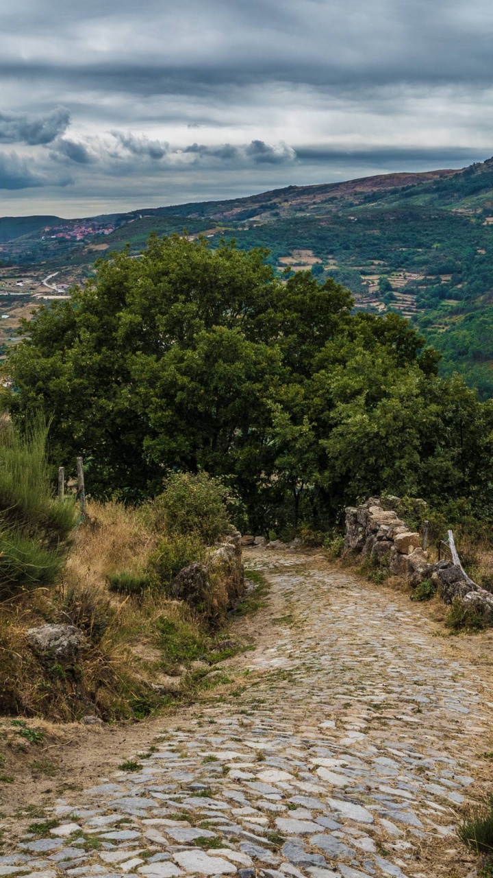 Green Trees on Mountain Under Cloudy Sky During Daytime. Wallpaper in 720x1280 Resolution