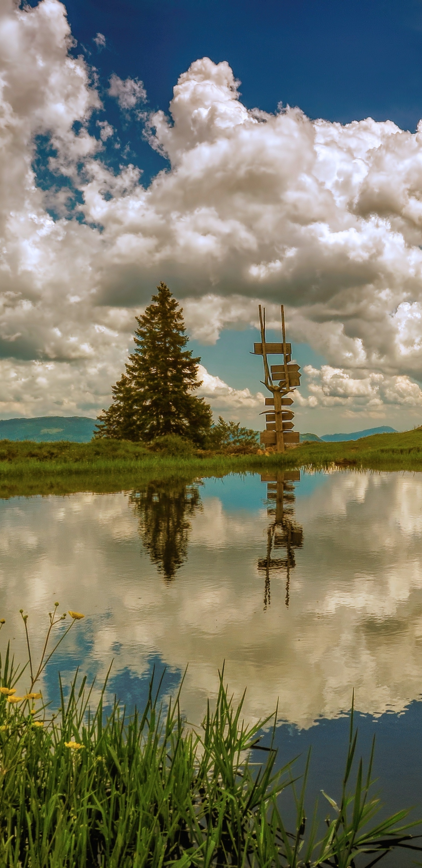 Green Grass Field Near Lake Under Blue and White Cloudy Sky During Daytime. Wallpaper in 1440x2960 Resolution