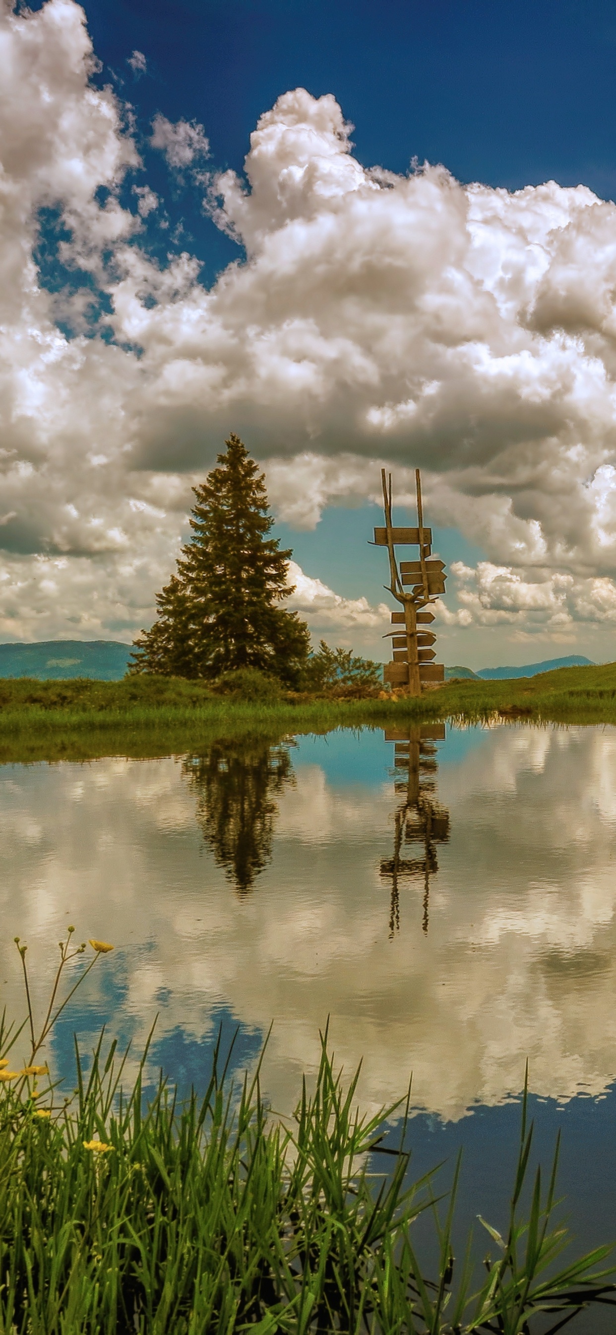 Champ D'herbe Verte Près du Lac Sous un Ciel Nuageux Bleu et Blanc Pendant la Journée. Wallpaper in 1242x2688 Resolution