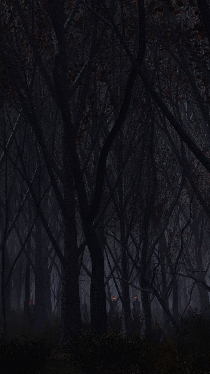 Kahle Bäume im Wald Während Der Nacht. Wallpaper in 720x1280 Resolution