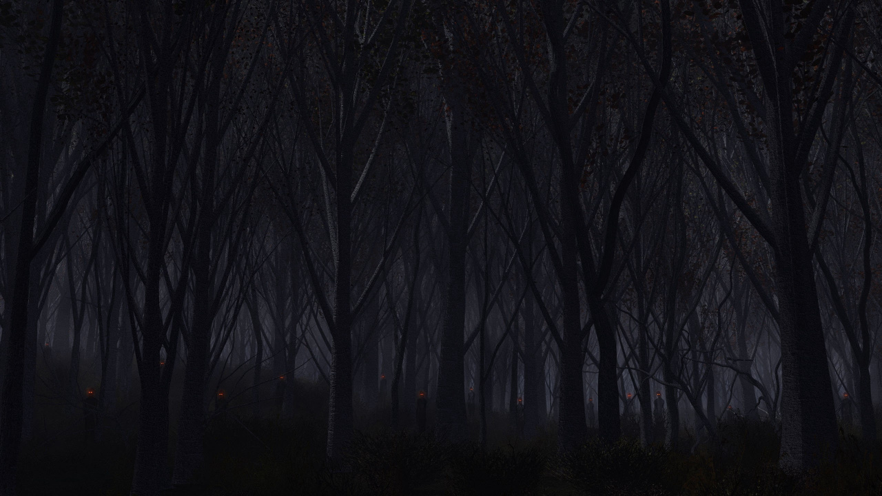 Bare Trees in Forest During Night Time. Wallpaper in 1280x720 Resolution