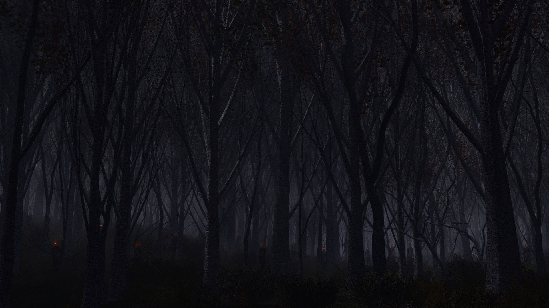 Bare Trees in Forest During Night Time. Wallpaper in 1920x1080 Resolution