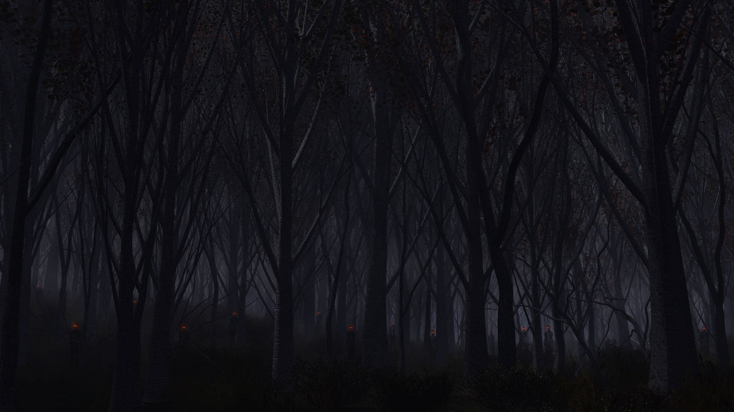 Bare Trees in Forest During Night Time. Wallpaper in 2560x1440 Resolution