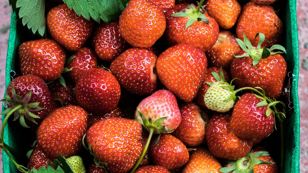 Rote Erdbeeren Auf Grünen Blättern. Wallpaper in 1280x720 Resolution