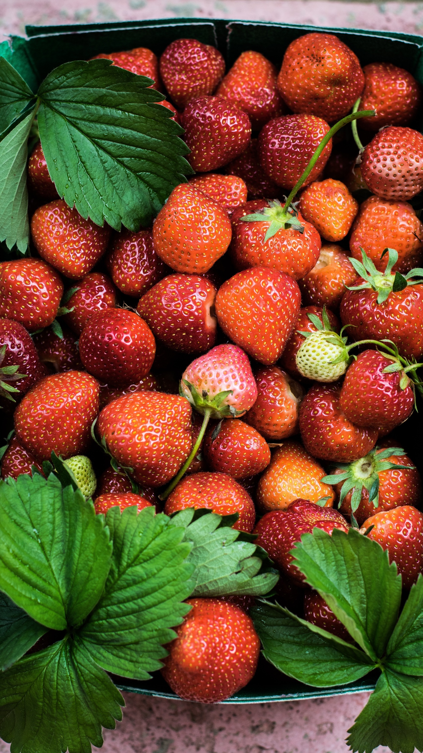 Rote Erdbeeren Auf Grünen Blättern. Wallpaper in 1440x2560 Resolution