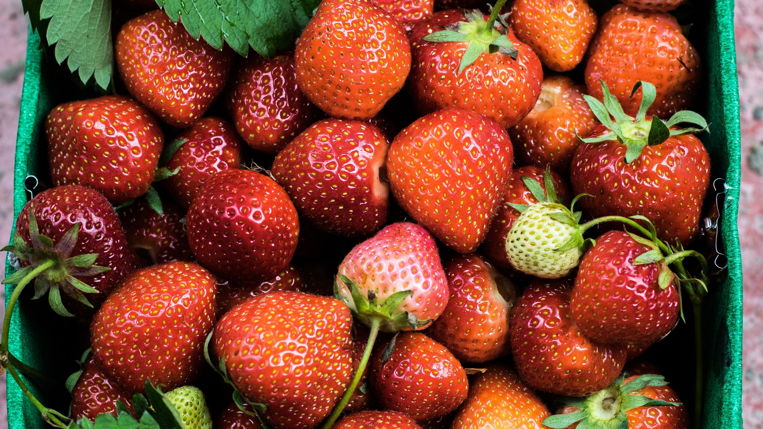 Rote Erdbeeren Auf Grünen Blättern. Wallpaper in 2560x1440 Resolution