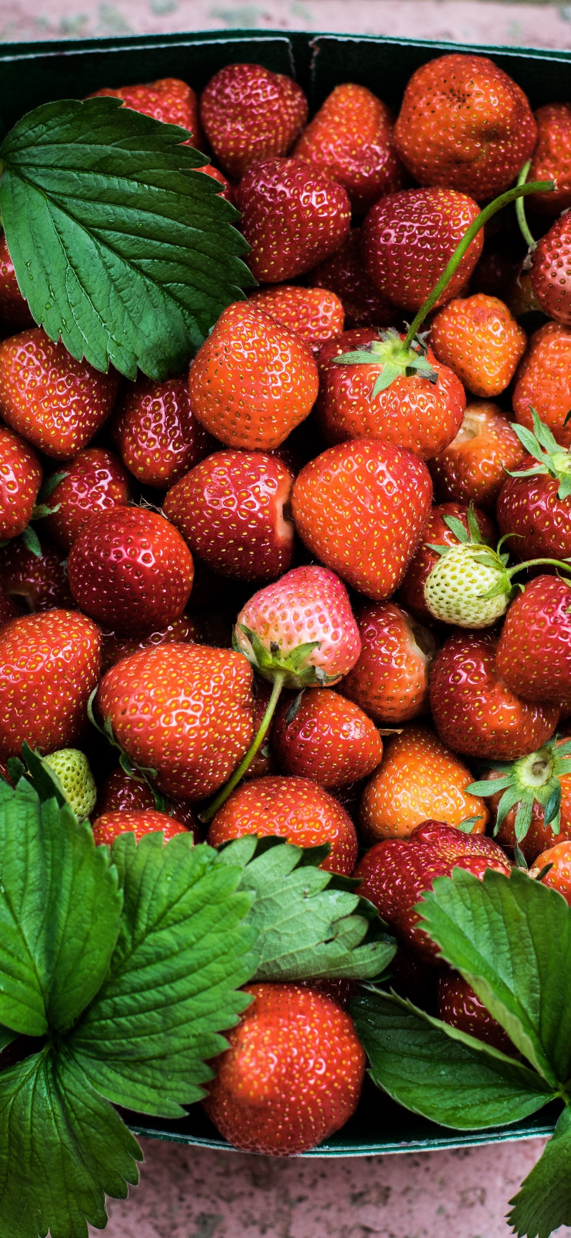 Fresas Rojas Sobre Hojas Verdes. Wallpaper in 1125x2436 Resolution