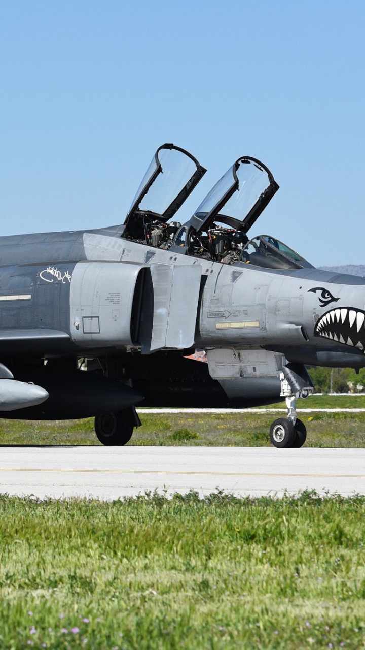 麦道公司的F-18大黄蜂, 麦克道格拉斯F-4幽灵II, 麦克道格拉斯, 航空, 空军 壁纸 720x1280 允许