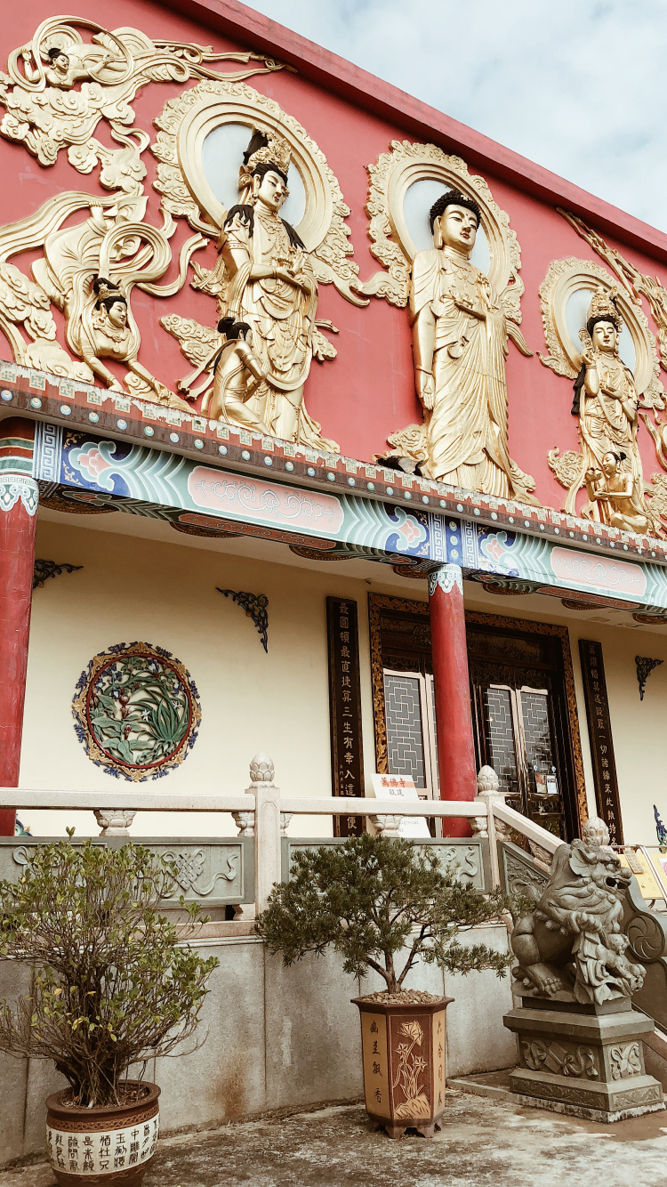 Façade, Flowerpot, Sculpture, Plante D'intérieur, Relief. Wallpaper in 750x1334 Resolution