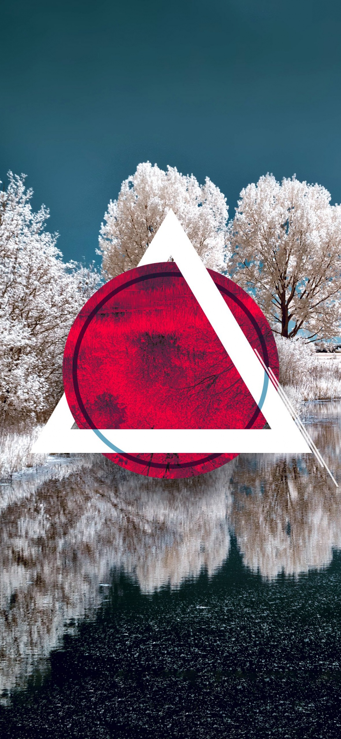 Winter, Snow, Water, Plant, Nature. Wallpaper in 1125x2436 Resolution