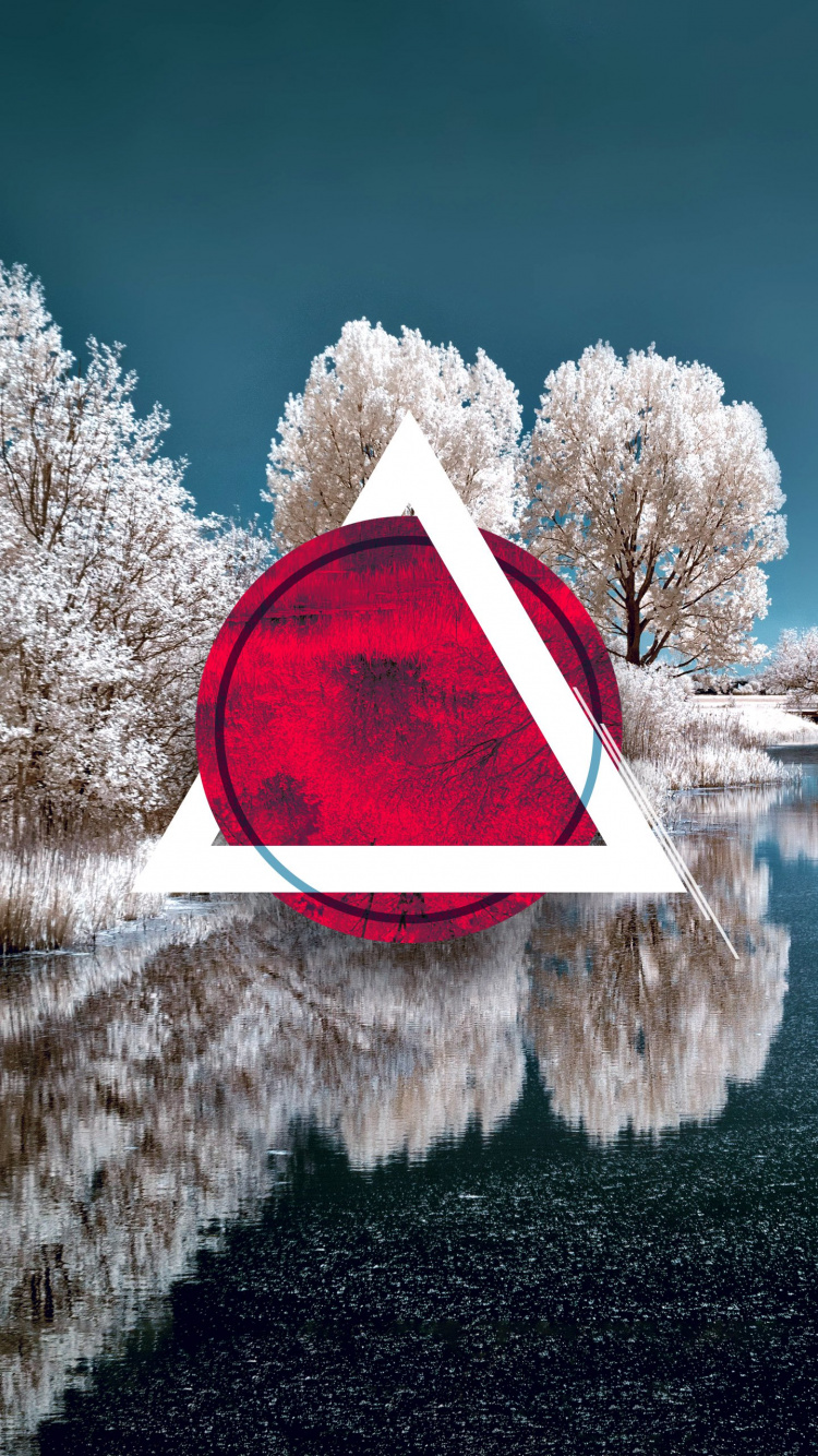 Winter, Snow, Water, Plant, Nature. Wallpaper in 750x1334 Resolution