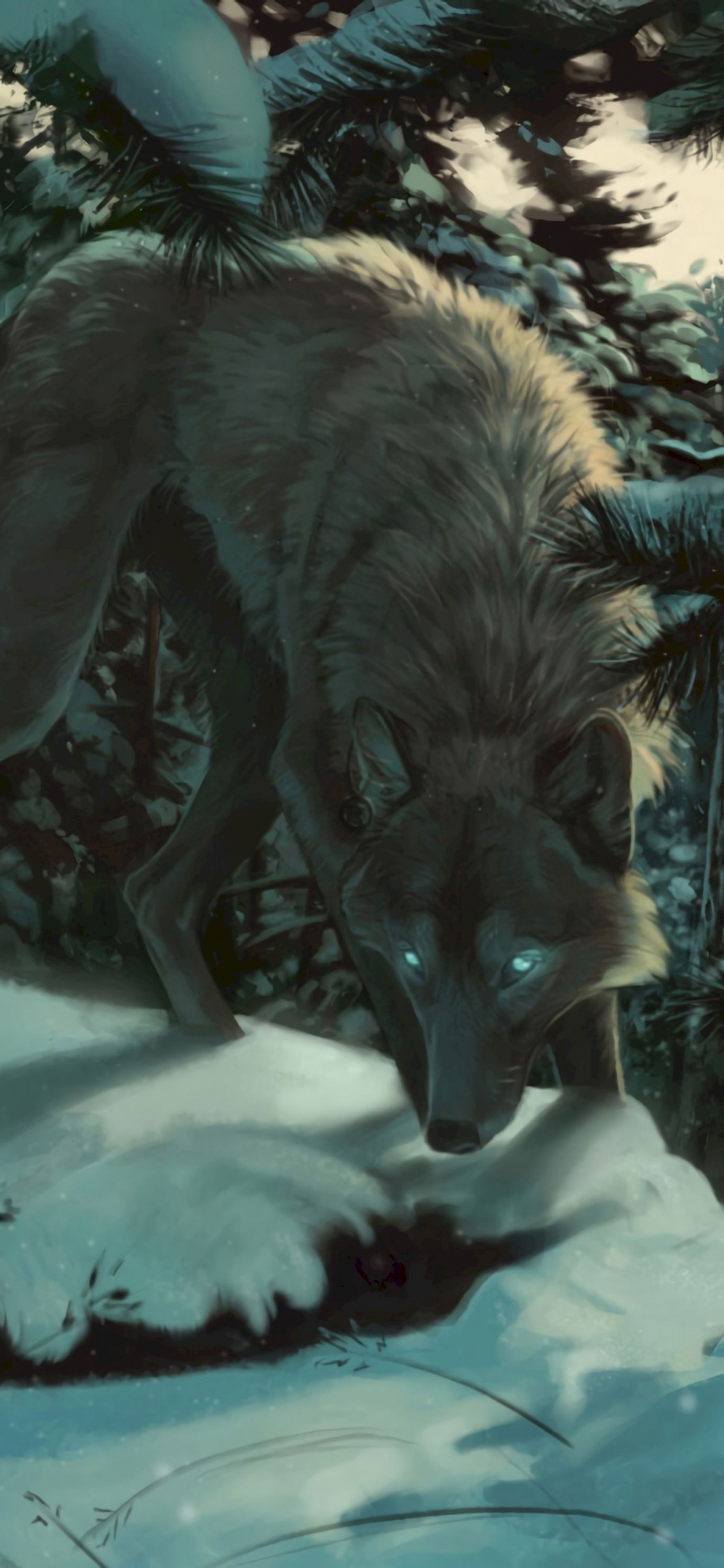 Black Wolf on Snow Covered Ground. Wallpaper in 1125x2436 Resolution