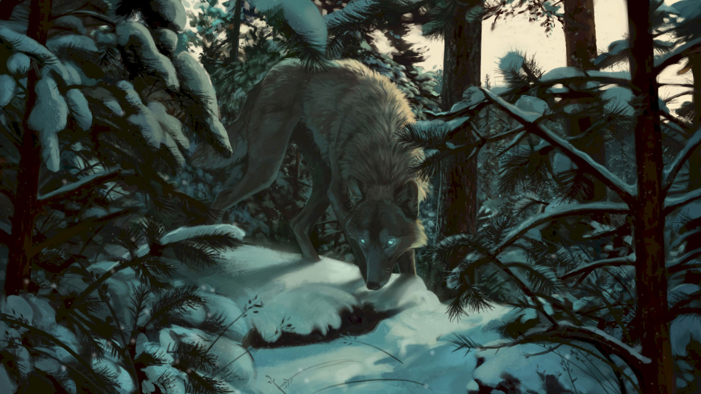 Loup Noir Sur Sol Couvert de Neige. Wallpaper in 1366x768 Resolution