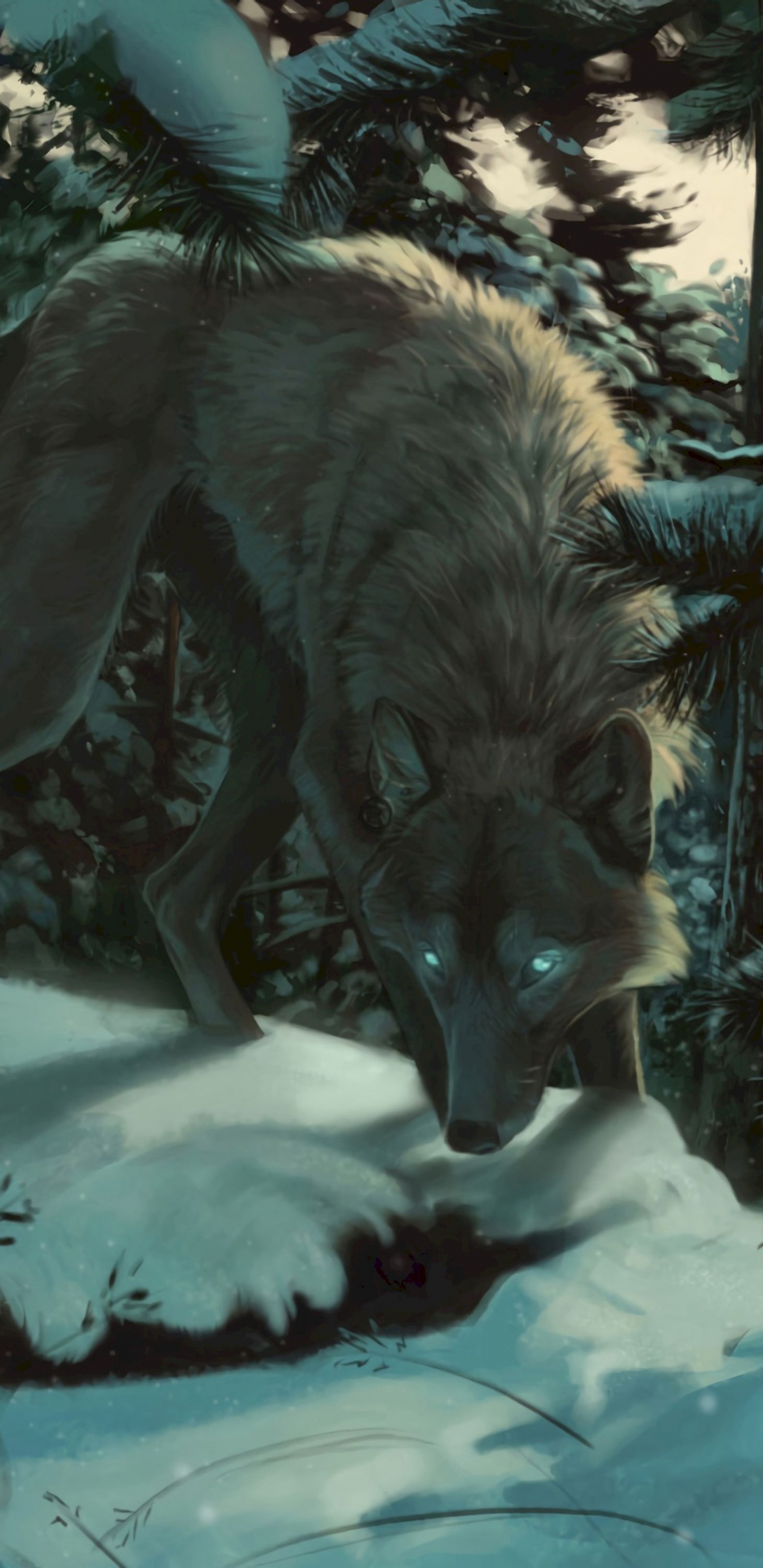 Lobo Negro en Suelo Cubierto de Nieve. Wallpaper in 1440x2960 Resolution