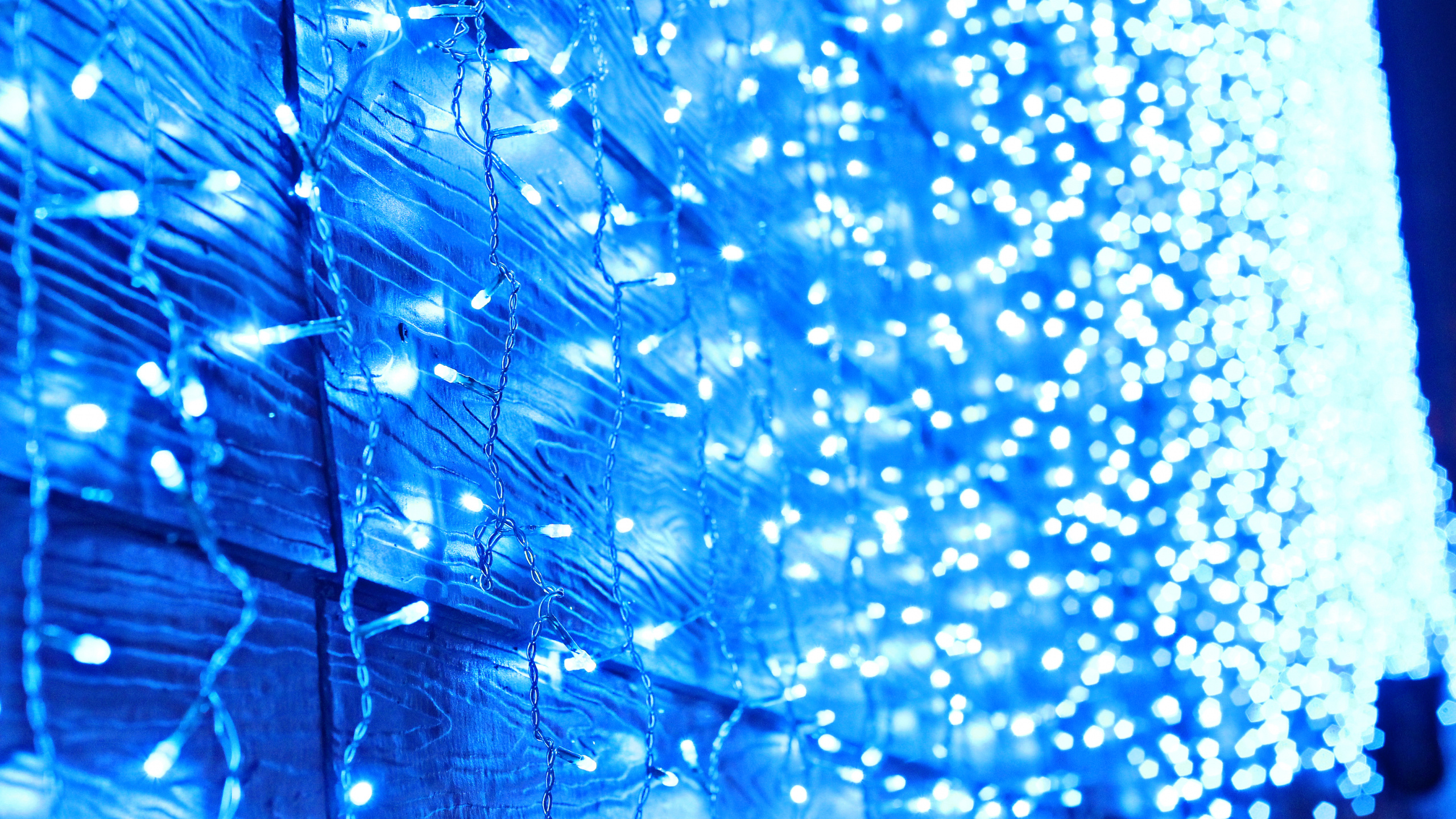 Christmas Lights, Blue, Light, Water, Electric Blue. Wallpaper in 2560x1440 Resolution
