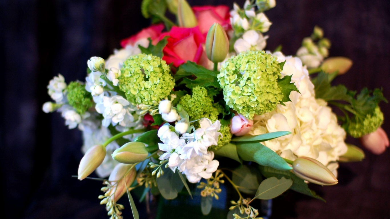 White and Pink Flowers on Green Leaves. Wallpaper in 1366x768 Resolution