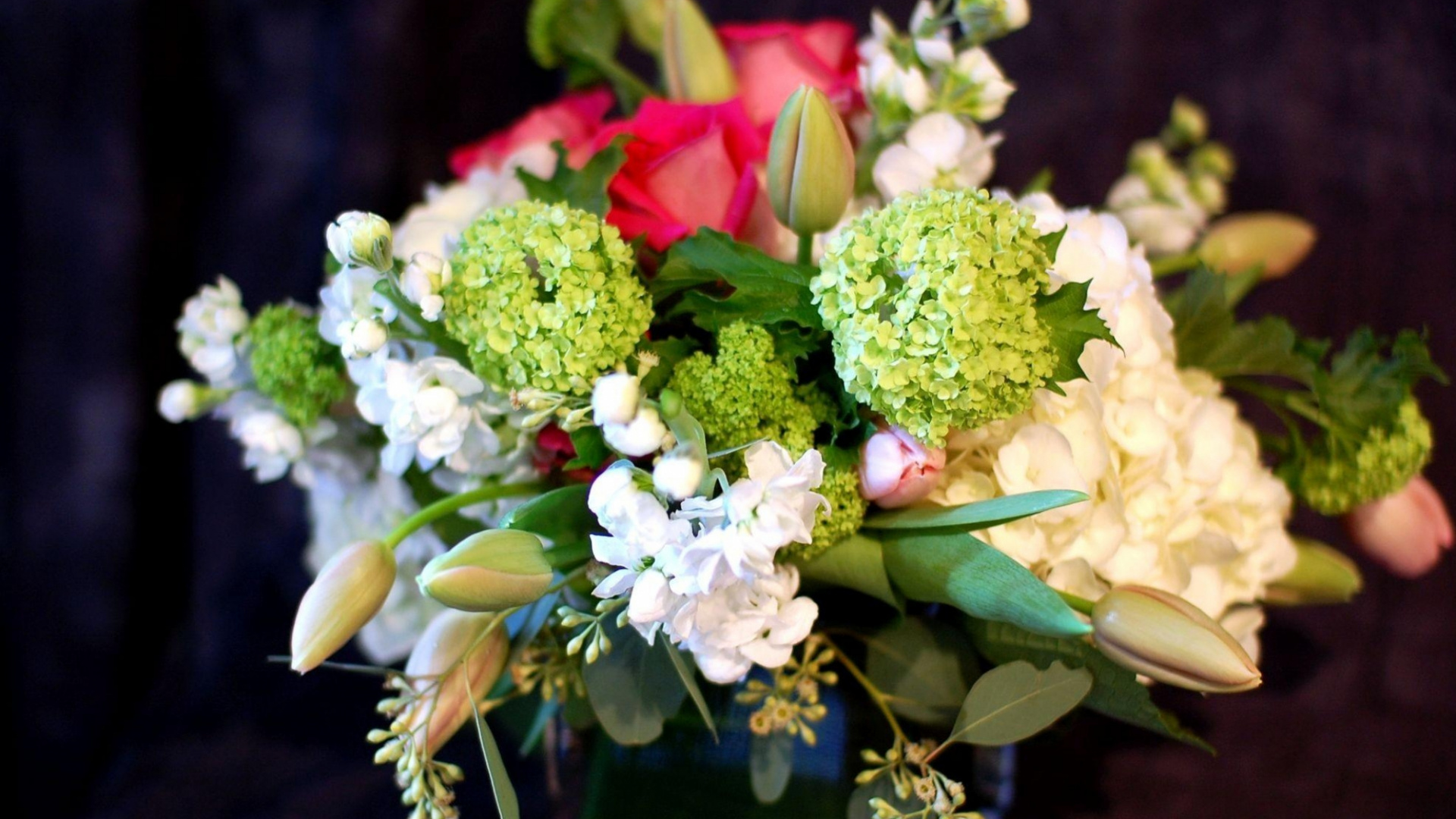 Fleurs Blanches et Roses Sur Feuilles Vertes. Wallpaper in 1920x1080 Resolution