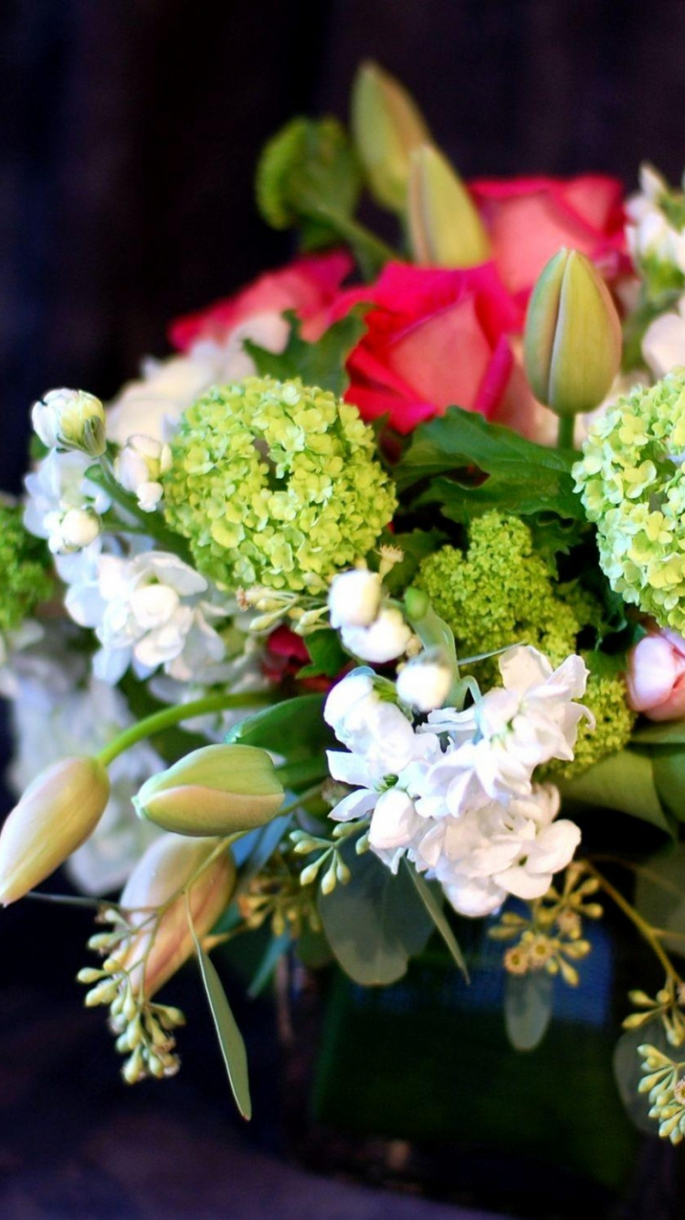 Fleurs Blanches et Roses Sur Feuilles Vertes. Wallpaper in 750x1334 Resolution