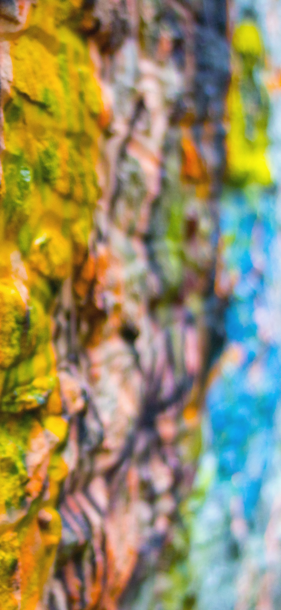 Peinture Abstraite Brune et Verte. Wallpaper in 1125x2436 Resolution