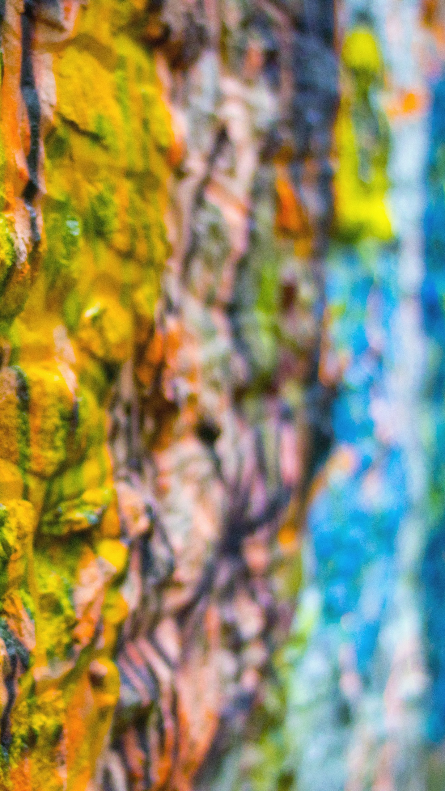 Peinture Abstraite Brune et Verte. Wallpaper in 1440x2560 Resolution