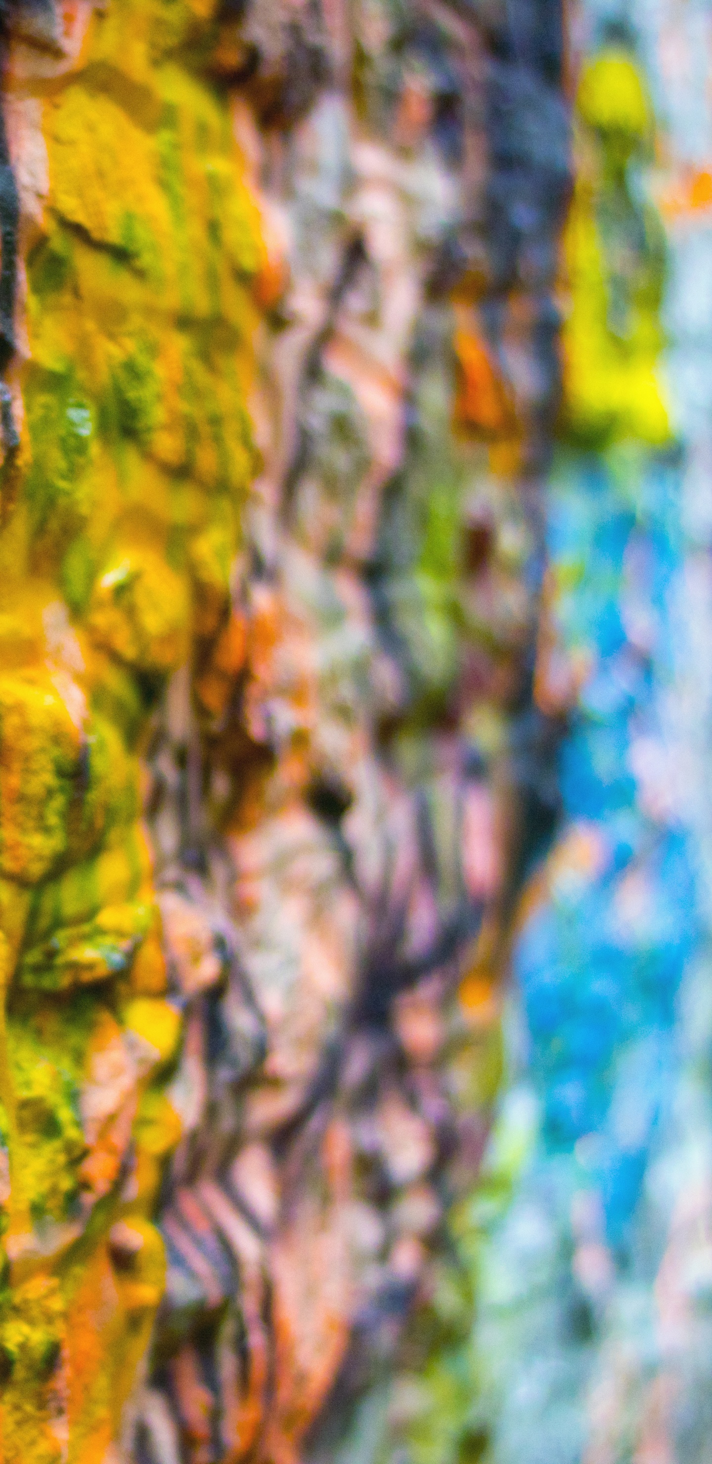 Braune Und Grüne Abstrakte Malerei. Wallpaper in 1440x2960 Resolution