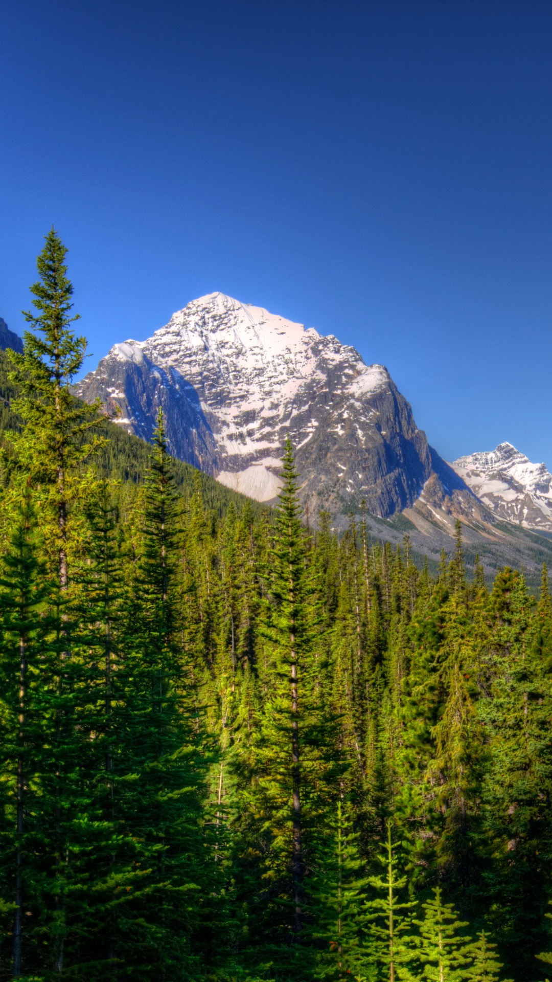 Green Pine Trees Near Snow Covered Mountain Under Blue Sky During Daytime. Wallpaper in 1080x1920 Resolution