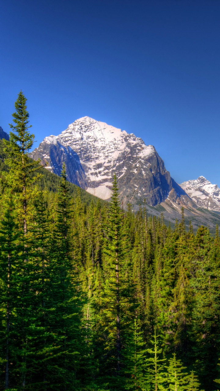 Green Pine Trees Near Snow Covered Mountain Under Blue Sky During Daytime. Wallpaper in 720x1280 Resolution