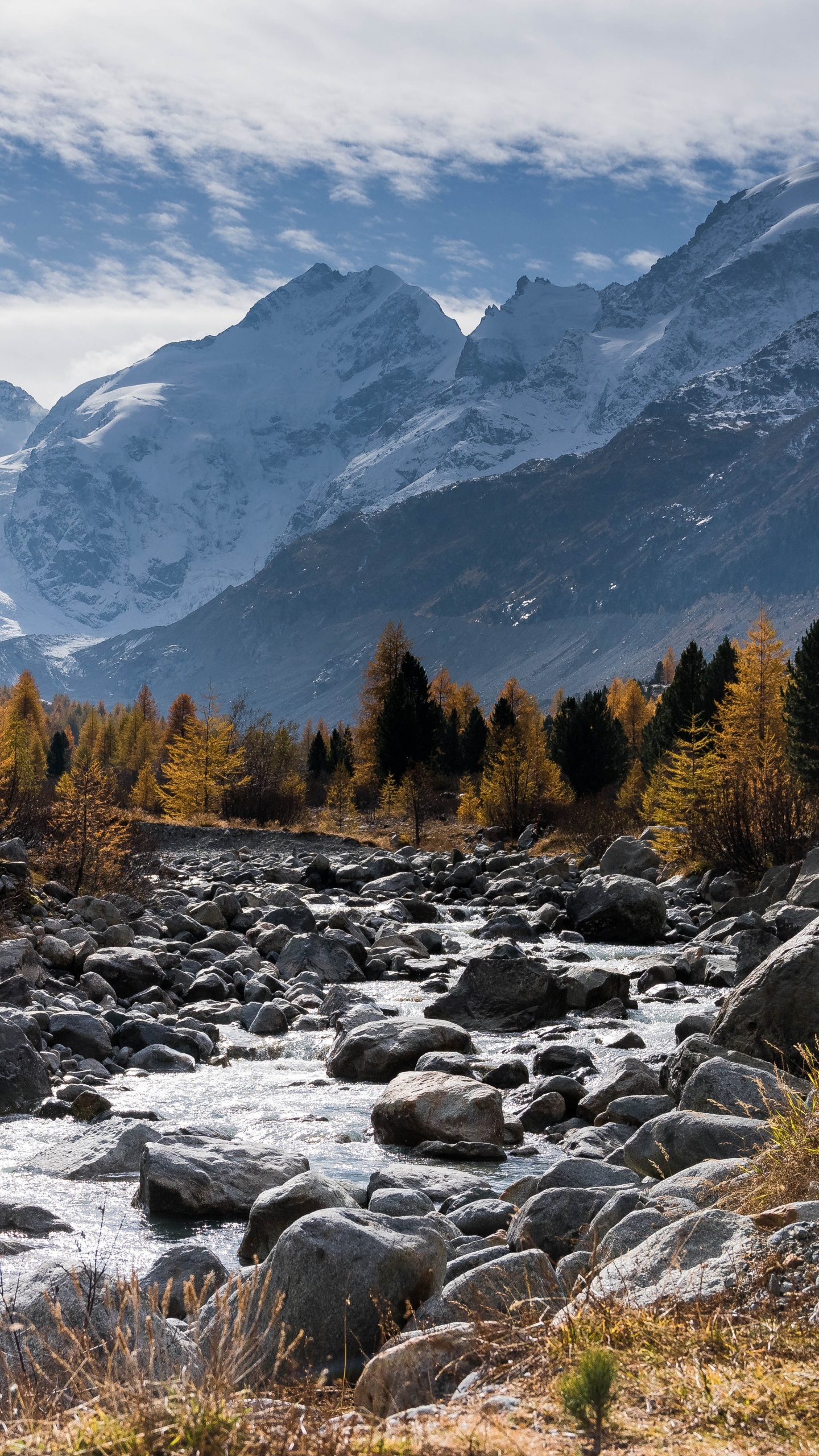 Árboles Marrones y Verdes Cerca de la Montaña Bajo Nubes Blancas y Cielo Azul Durante el Día. Wallpaper in 1440x2560 Resolution