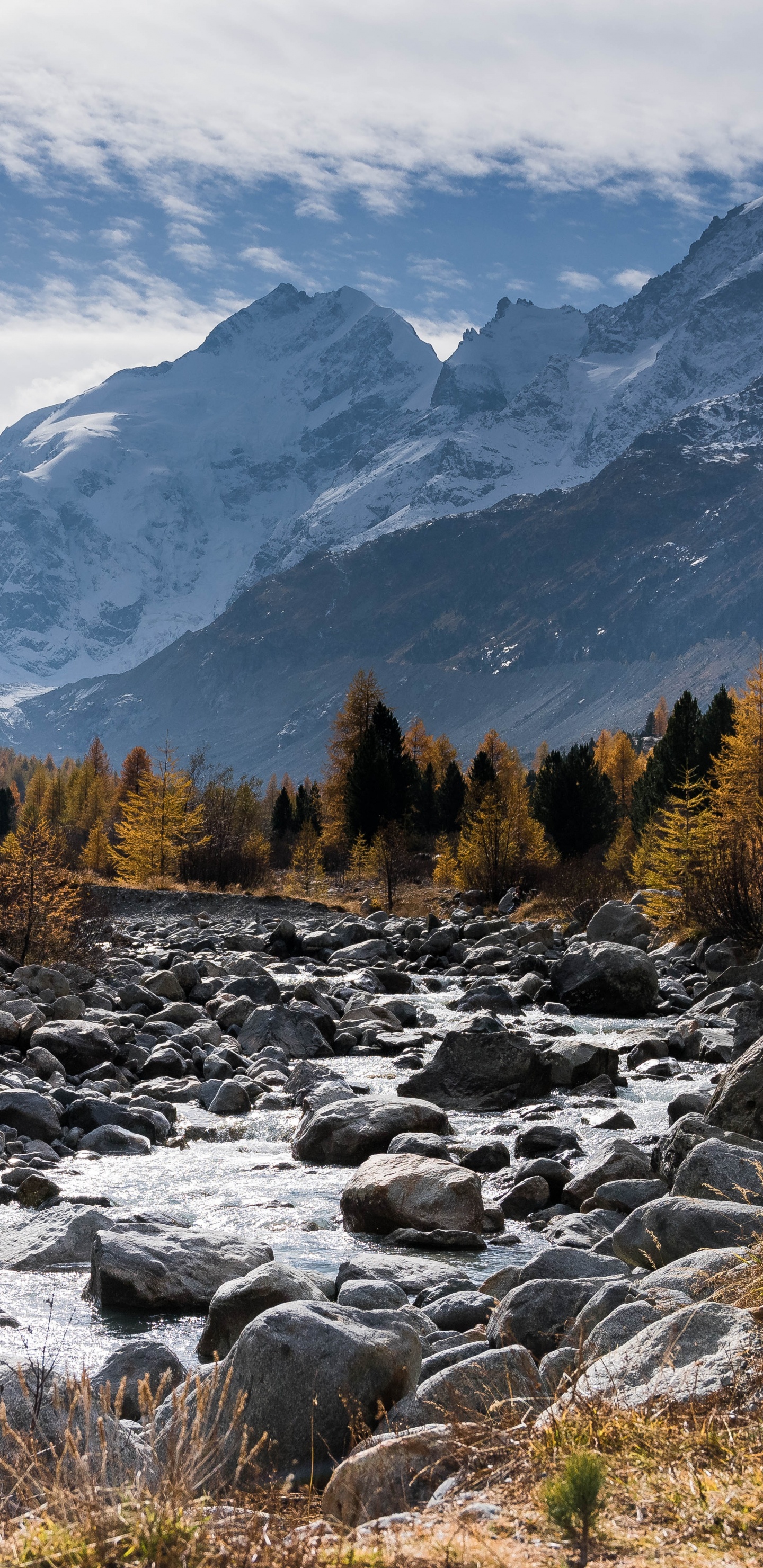 Braune Und Grüne Bäume in Der Nähe Des Berges Unter Weißen Wolken Und Blauem Himmel Tagsüber. Wallpaper in 1440x2960 Resolution