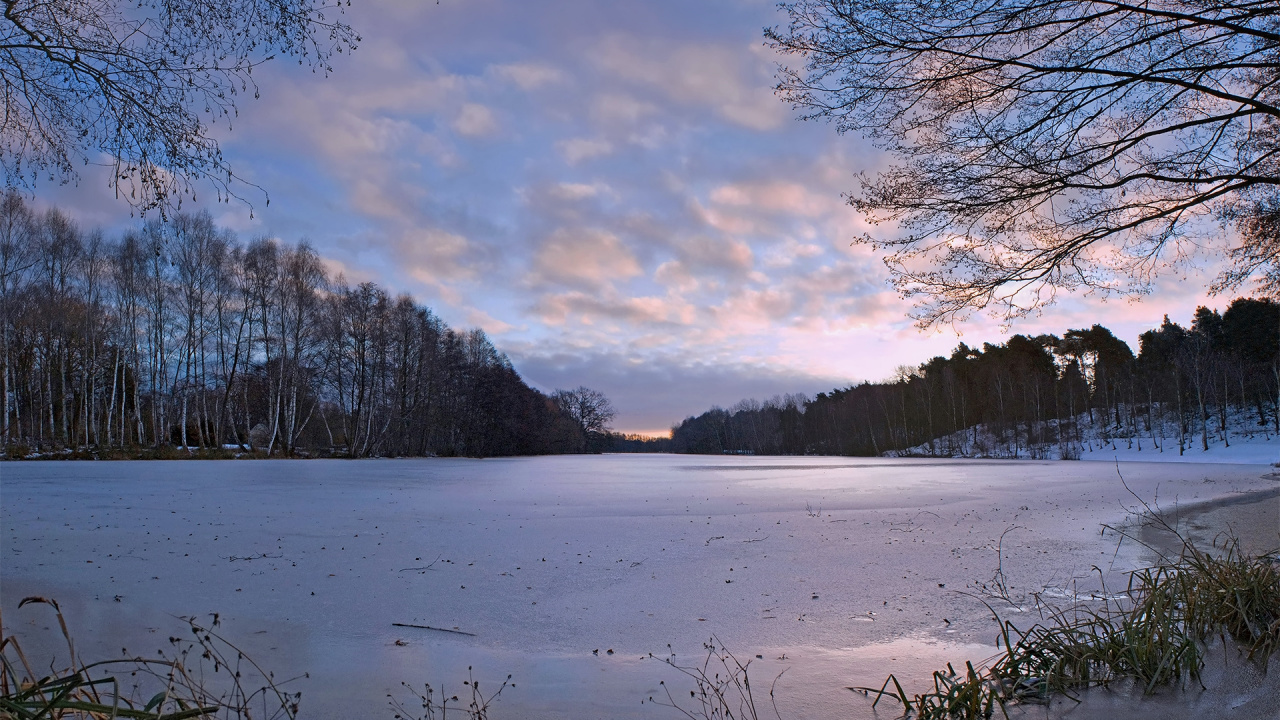 Schneebedecktes Feld Und Bäume Unter Blauem Himmel Tagsüber. Wallpaper in 1280x720 Resolution