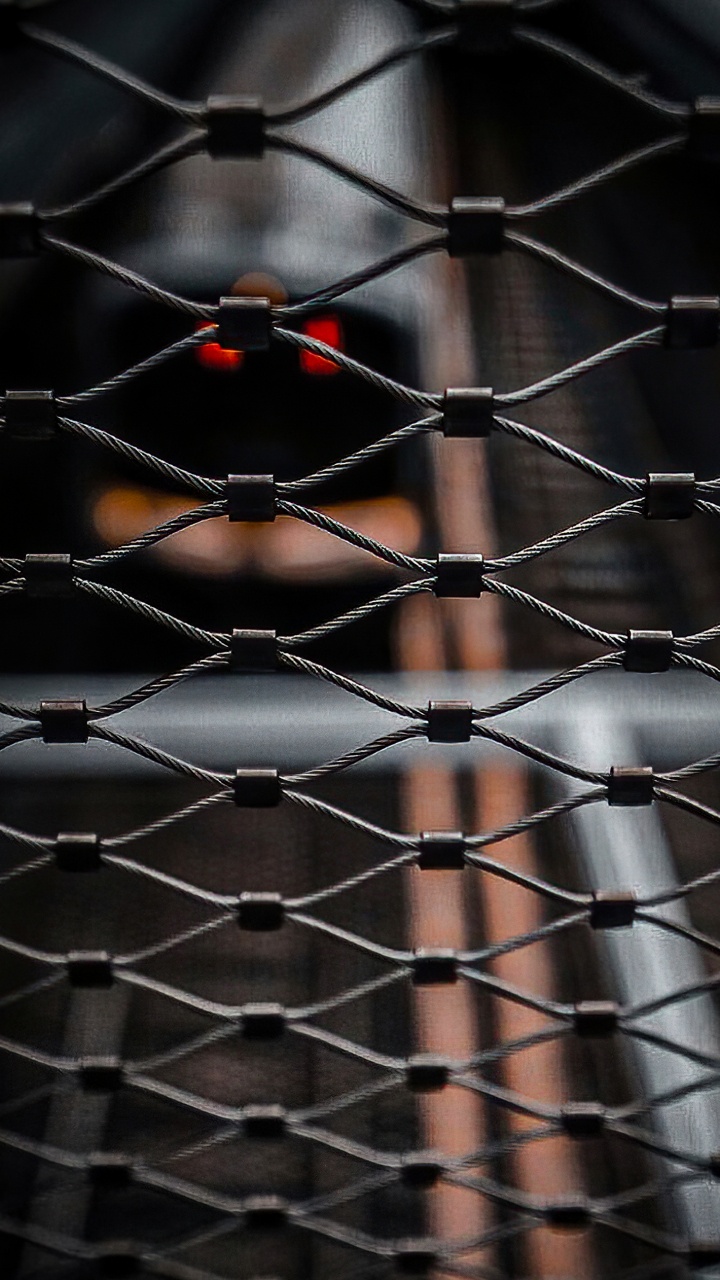 Clôtures en Fil, Maille, Propriété Des Matériaux, Clôture, Symétrie. Wallpaper in 720x1280 Resolution
