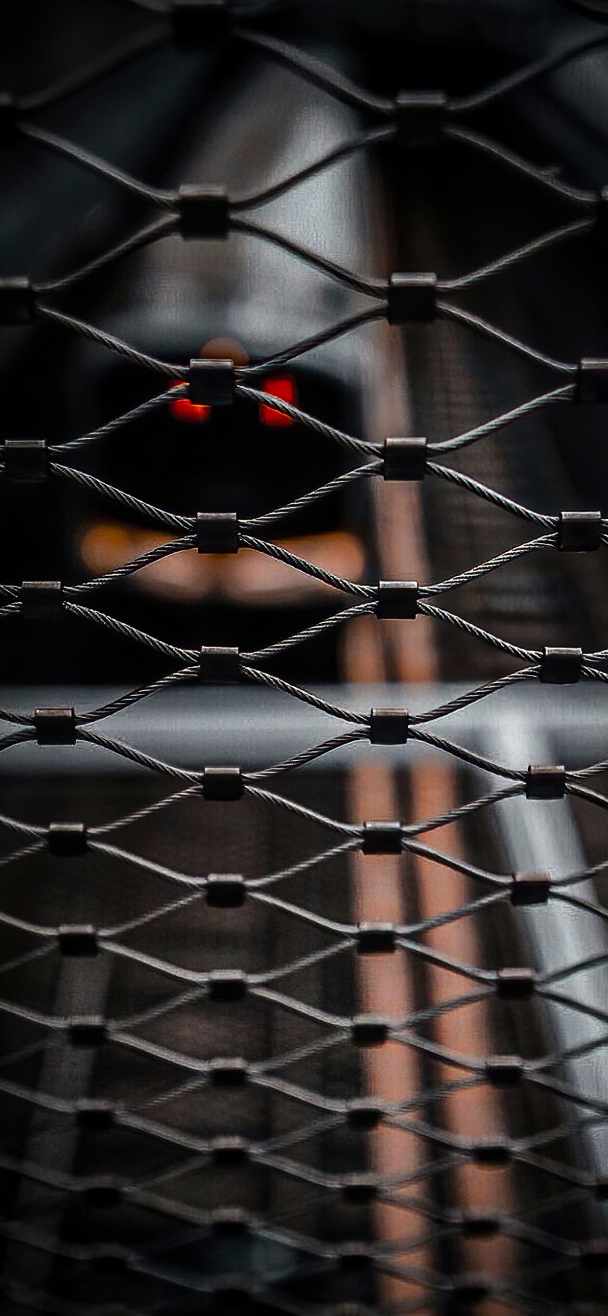 丝围栏, 料酒店, 栅栏, 对称, 矩形 壁纸 1242x2688 允许