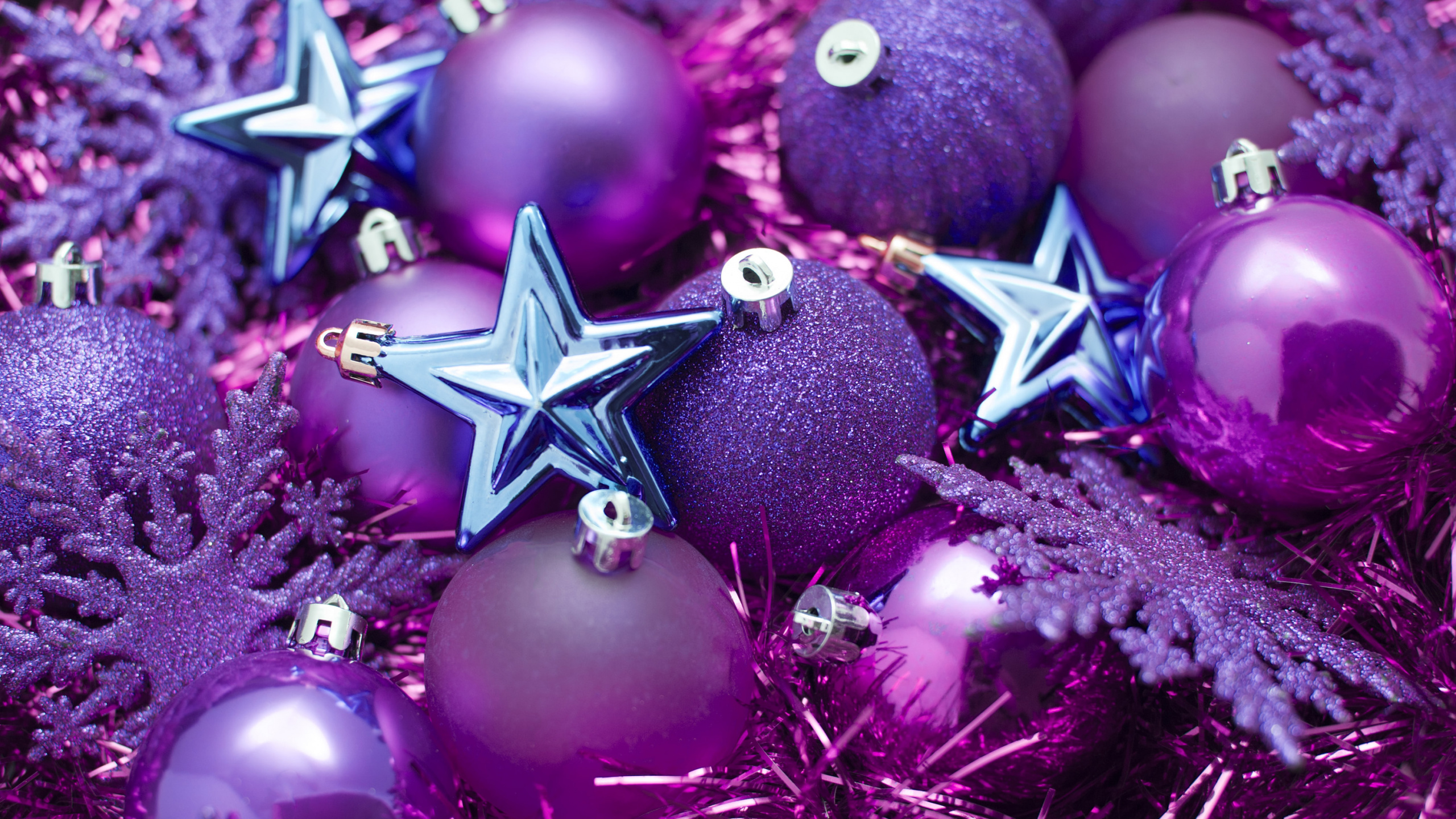 Weihnachten, Weihnachtsdekoration, Christmas Ornament, Purpur, Veilchen. Wallpaper in 2560x1440 Resolution