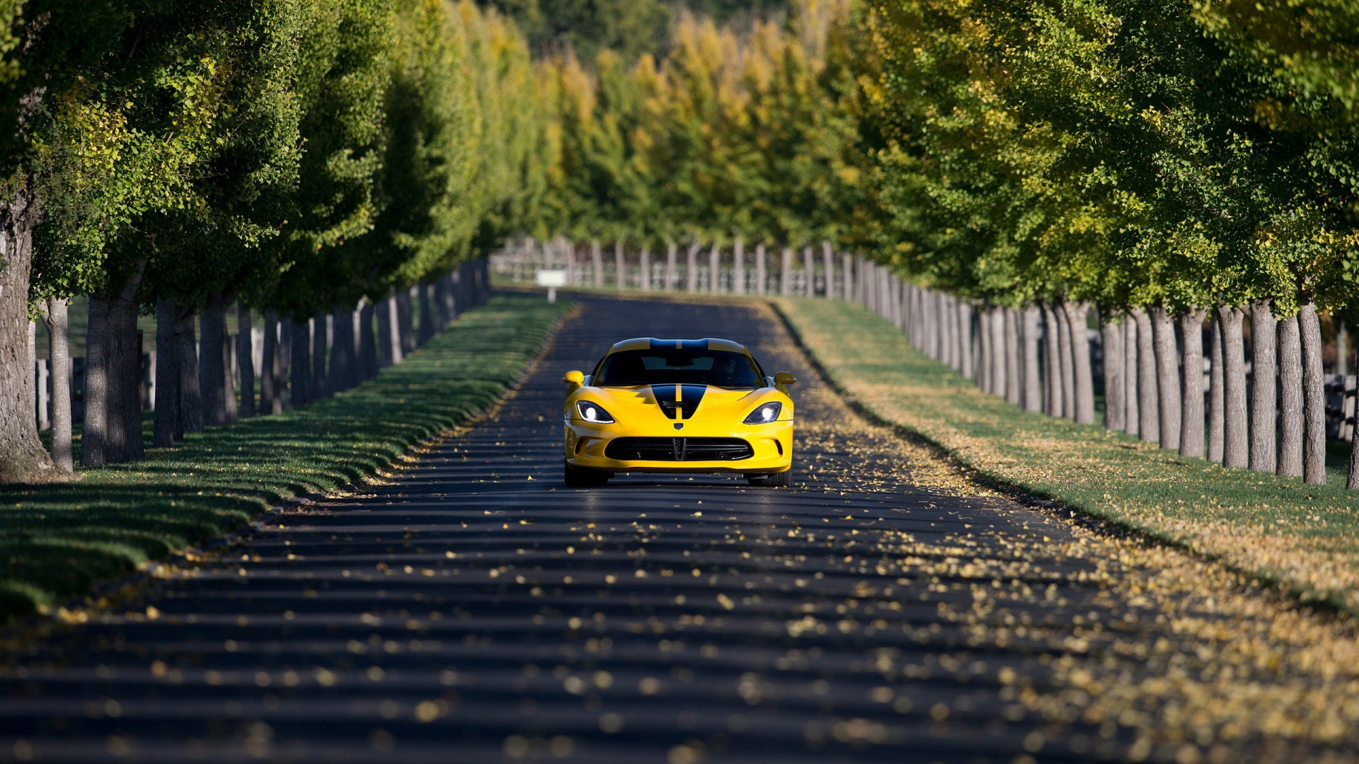 Yellow and Black Ferrari f 1 on Road During Daytime. Wallpaper in 1920x1080 Resolution