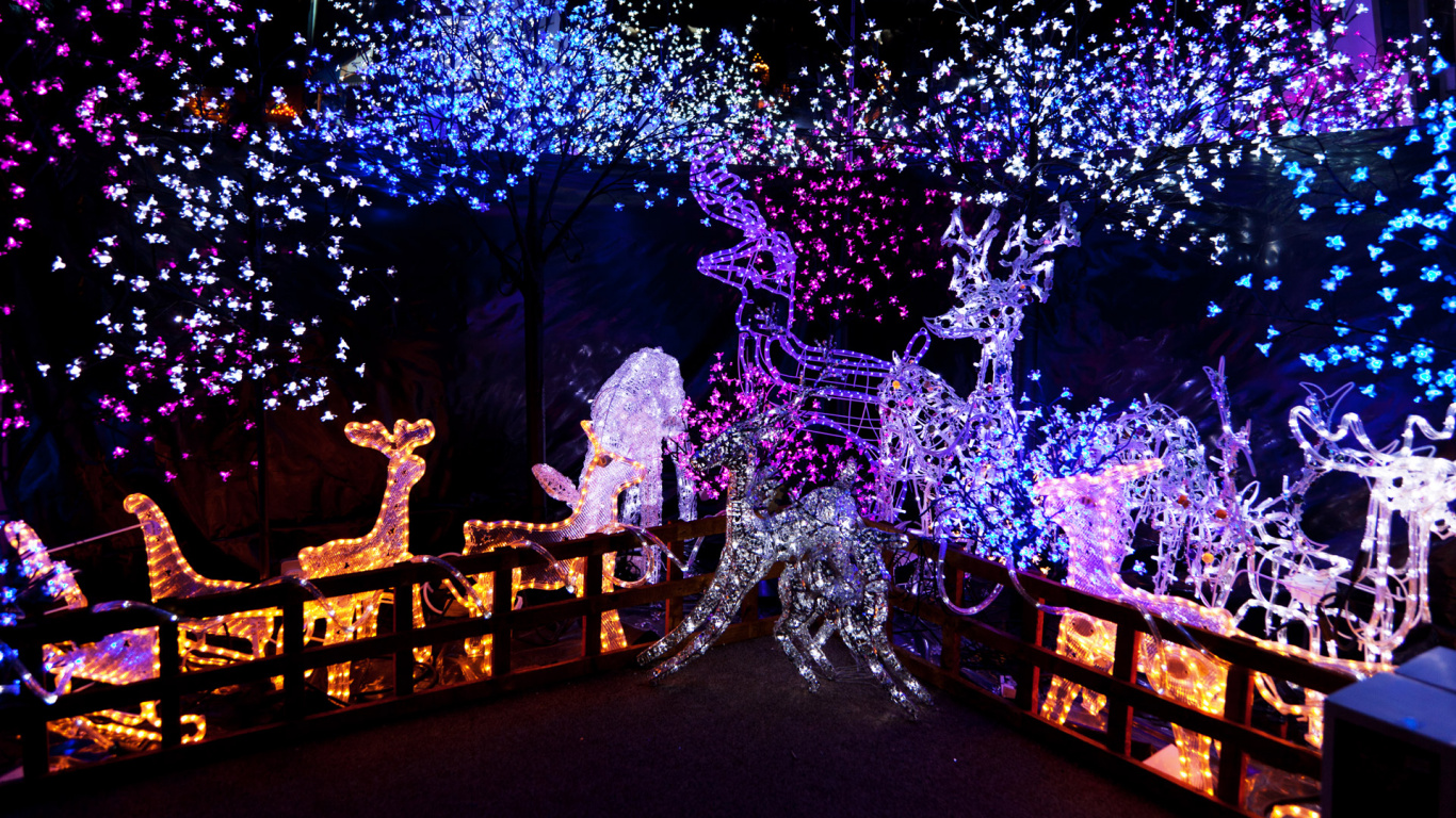 Christmas Day, Christmas Decoration, Christmas Lights, Christmas Tree, Holiday. Wallpaper in 1366x768 Resolution