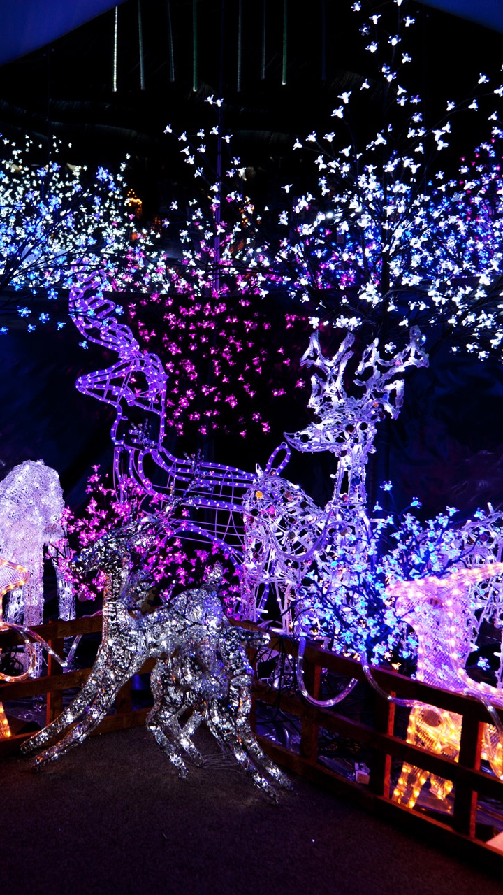 Christmas Day, Christmas Decoration, Christmas Lights, Christmas Tree, Holiday. Wallpaper in 720x1280 Resolution