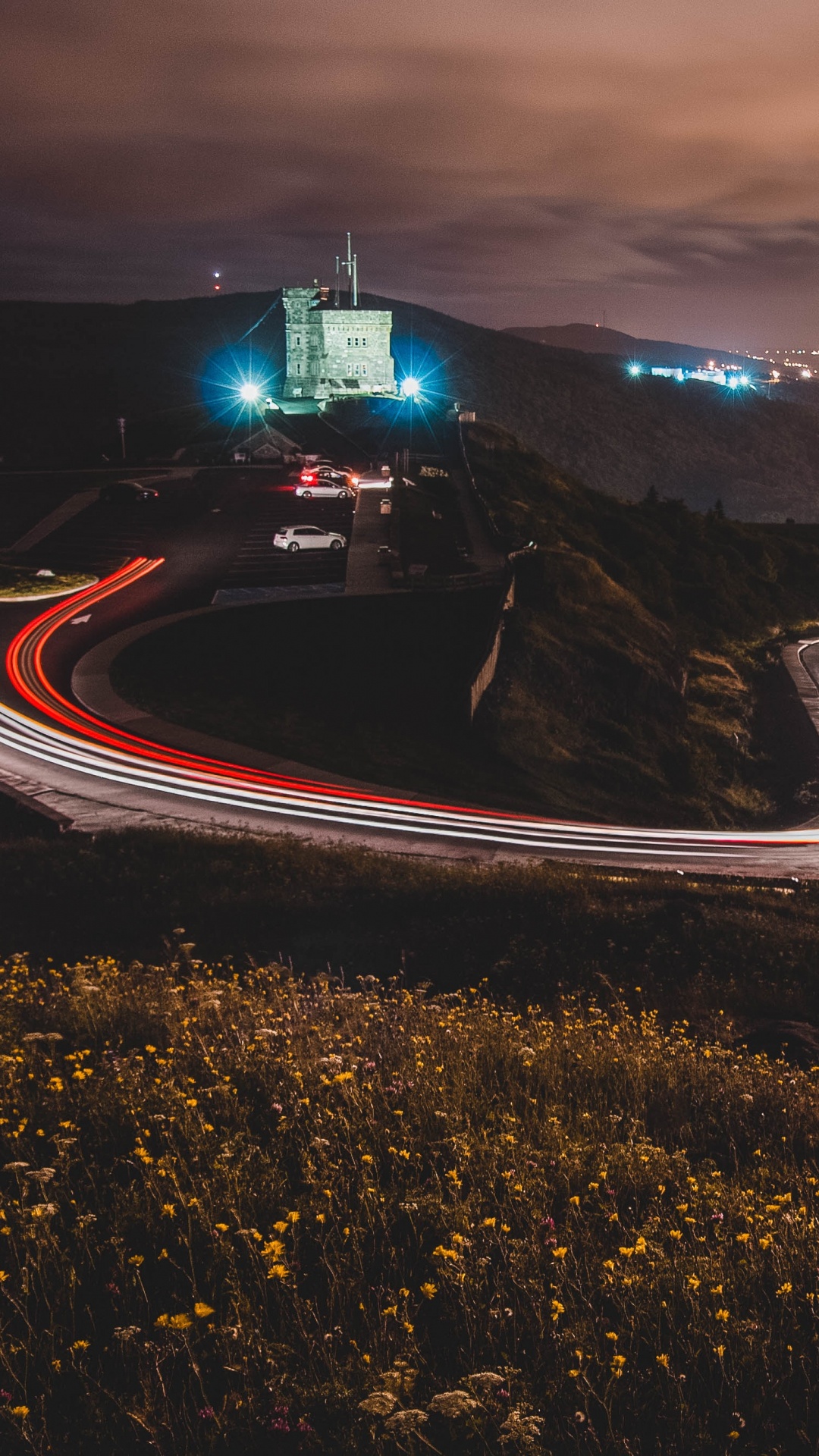 Photographie en Accéléré de Voitures Sur la Route Pendant la Nuit. Wallpaper in 1080x1920 Resolution