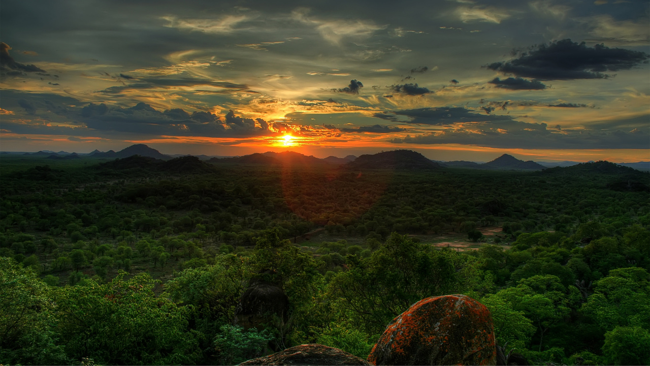 Champ D'herbe Verte Pendant le Coucher du Soleil. Wallpaper in 1280x720 Resolution