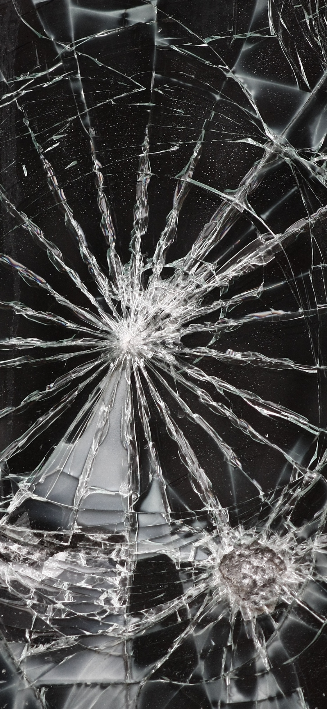 Spider Web in Close up Photography. Wallpaper in 1125x2436 Resolution