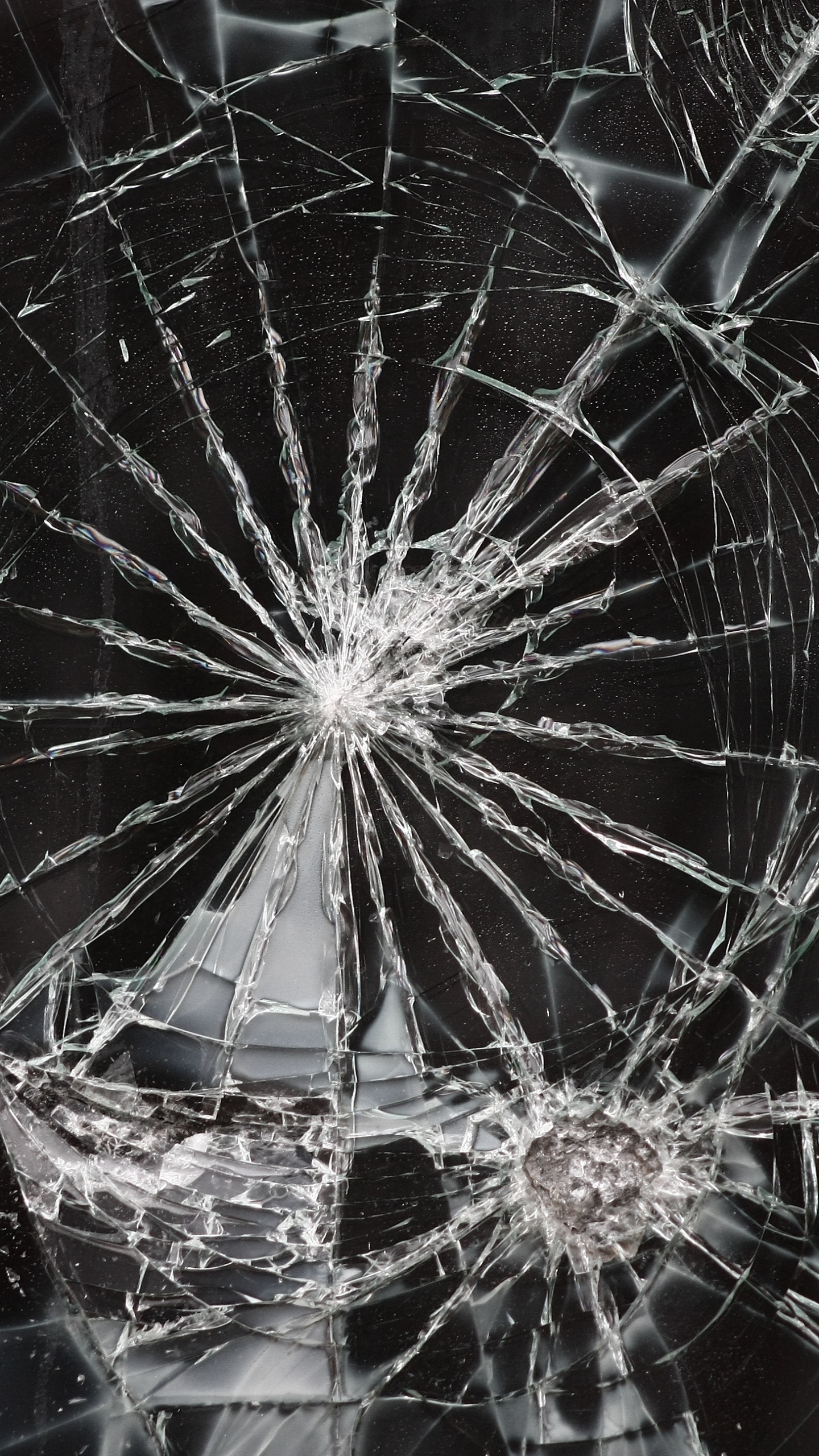 Telaraña, En, Primer Plano, Fotografía. Wallpaper in 1440x2560 Resolution