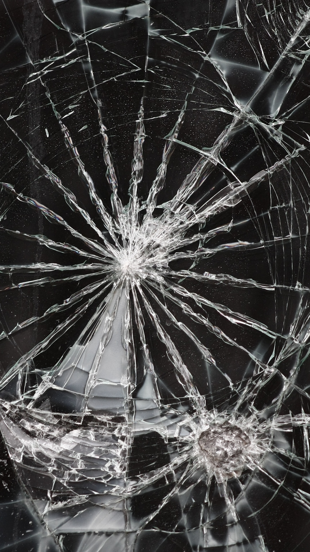 白色, 黑色的, 蒲公英, 蜘蛛网, 矢量图形 壁纸 1080x1920 允许