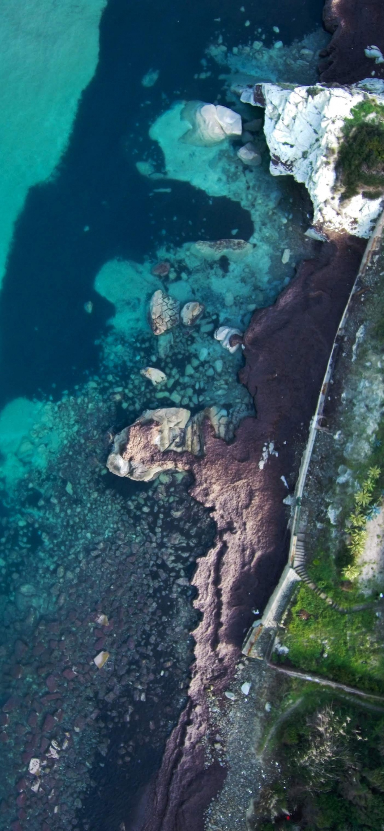 Google, Google Pixel 4, Agua, Android, Pixel 4. Wallpaper in 1242x2688 Resolution