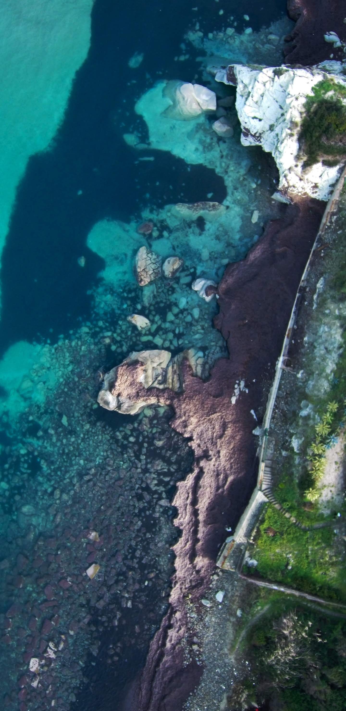 谷歌, Google Pixel 4, 安卓, 像素4, 像素 壁纸 1440x2960 允许